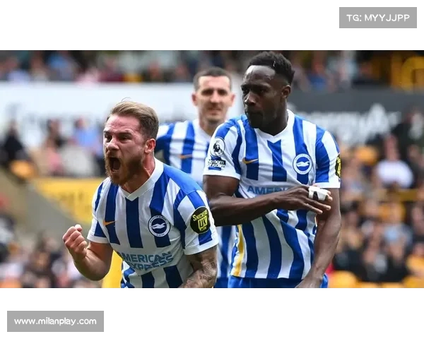 英格兰足球超级联赛布莱顿主场力克南安普顿