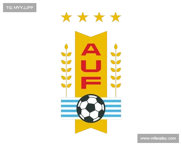 乌拉圭探讨南美足球的未来发展道路(乌拉圭探讨南美足球的未来发展道路是什么) 乌拉圭探讨南美足球的未来发展道路(乌拉圭探讨南美足球的未来发展道路是什么)